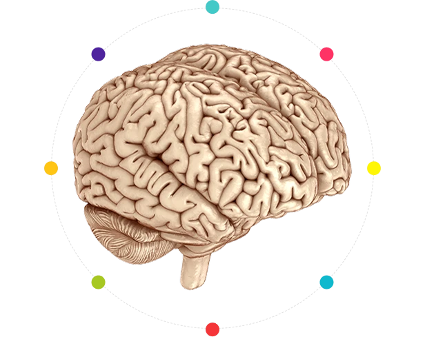 brain psychology concept mental health psychologist in Lebanon